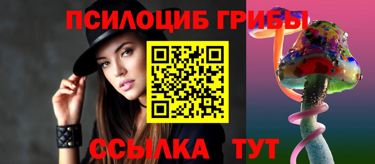 Псилоцибиновые грибы Psilocybine cubensis  Галлюциногенные грибы мухоморы  Кизилюрт  Вход с VPN 